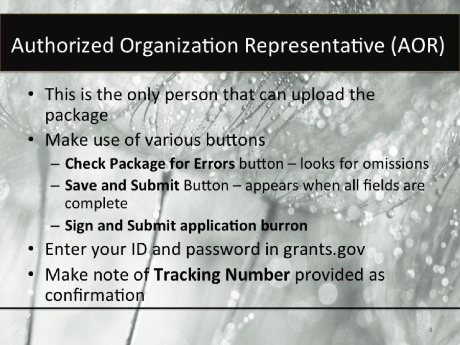 Tutorial 32 Slide 3